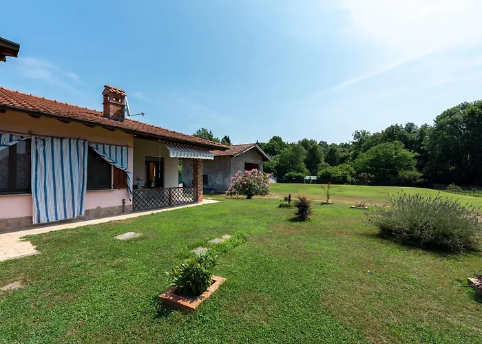 La 800m From - Happy *